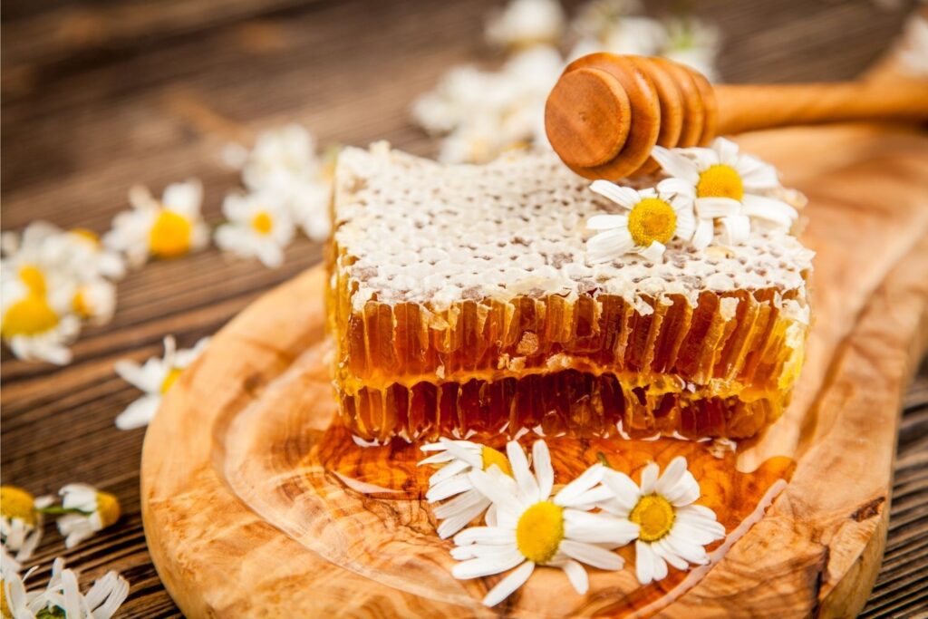 天然蜂巢，最完整營養的蜂製品