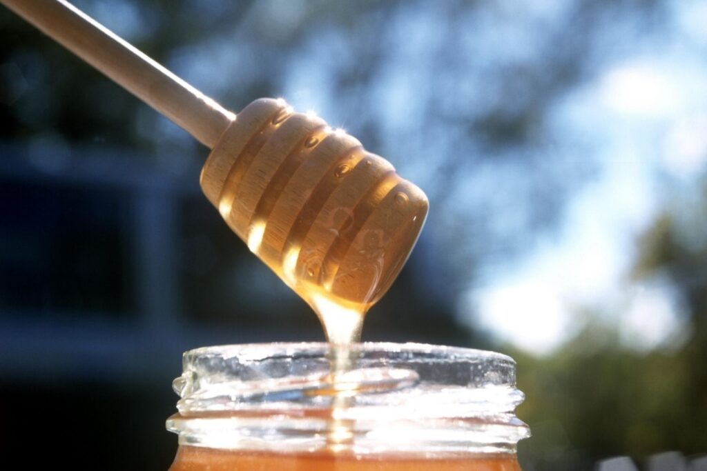 澳洲國寶_Honey Australia 橙花生蜂蜜