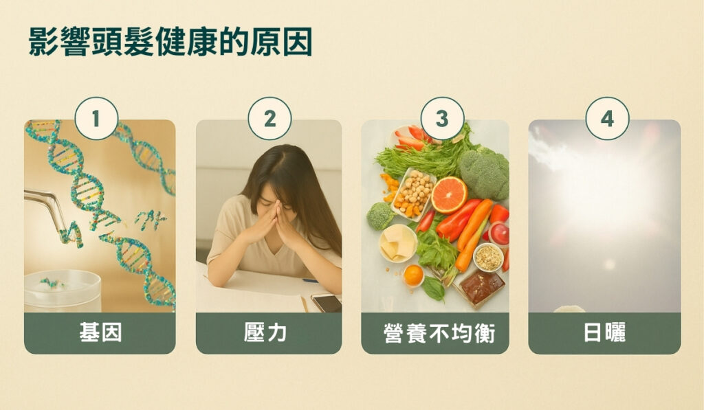 影響頭髮健康的四大主因